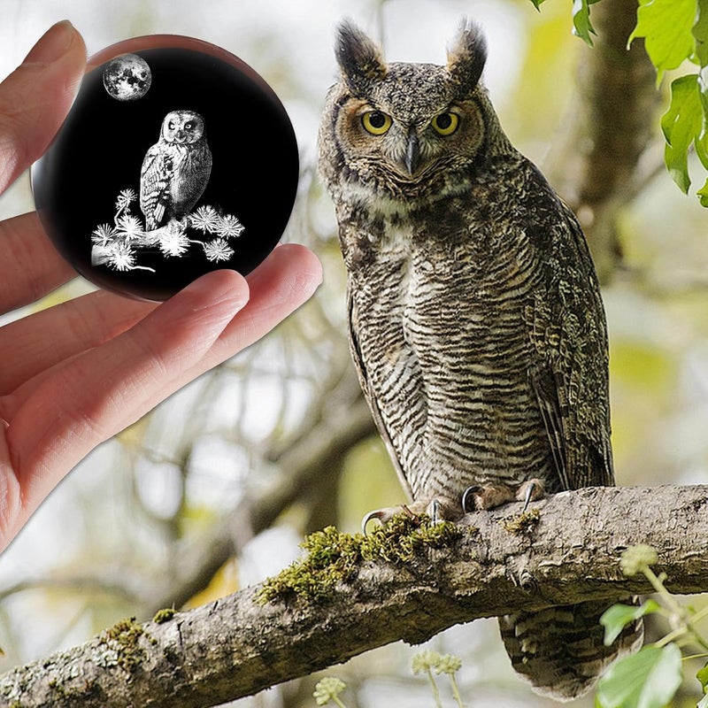 PYJ3DLAMP 3D Owl Crystal Ball with Stand Lase Engraved Glass Sphere Paperweight Owl Decor Gift - Image 5